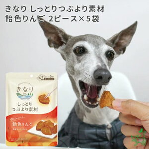 y11/15聚|Cg2{z჊j[A!!⌢  Y Y Ȃ ƂԂf F 2s[X×5 p dog ʕ hCt[c ^ ^ ybg CIX}C