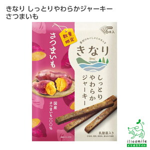   Y Y Ȃ Ƃ炩W[L[ ܂@6{ p dog ^ ^ ybg CIX}C