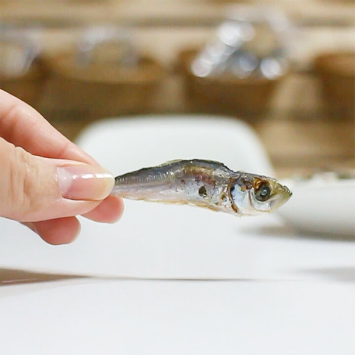 楽天市場 国産 無添加 京都産 豆アジ煮干し 100g ドッグフード ドックフード 豆鯵 まめあじ 豆あじ 鯵 オメガ3 Dha Epa ジャーキー 犬用 Dog 猫 猫用 犬のおやつ パピー シニア 子犬 成犬 老犬 高齢 小型犬 大型犬 ペット イリオスマイル 犬用自然派おやつ専門店
