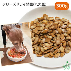 国産 無添加 北海道産 フリーズドライ納豆(丸大豆) 300g イリオスマイル ドッグフード ドックフード 犬用おやつ 犬 おやつ 無添加おやつ 手作りごはん