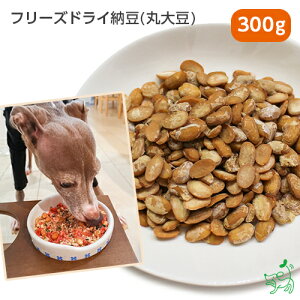 ドライ 納豆 無添加 ドッグフードの人気商品 通販 価格比較 価格 Com