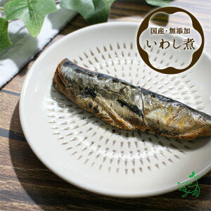 yXp5%OFFN[|z  Y Y gg EFbgt[h ؂g AM[ AQ  IK3 gbsO Lp ^  ybgt[h yCIX}C / 