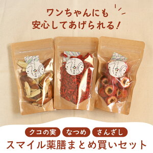 X}CVV[Y܂ƂߔZbg V NR L@JAS NR̎ Ȃ߂ Ȃ  ic 񂴂 Rq TUV   hCt[c  育͂ g