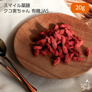 yVKN[|5OFFzyYzX}CV NR L@JAS 20gTCY   hCt[c NR̎ Etx[ ̎ X[p[t[h SWx[ V  育͂ 