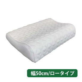 枕 まくら 寝具 上質 低反発 ウレタン 吸湿性 通気性 ドリームベッド 幅50 ロータイプ 低め テンセル素材 [P900 グラフェンピロー W50/LO]