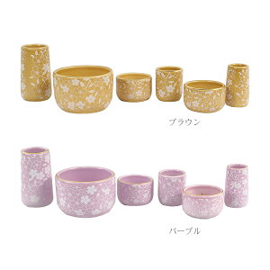 yӍՌ!m1/2ōő100|CgobNz yz 6 ΋t 6_Zbg   