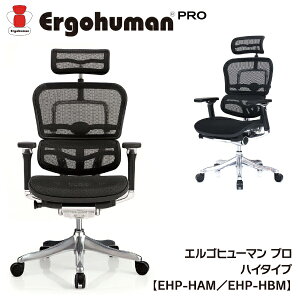 エルゴヒューマンプロの通販 価格比較 価格 Com エルゴヒューマンプロの通販 価格比較 価格 Com