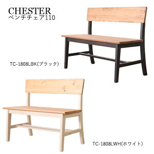 x` VR 110cm wt ֎q `FA[ _CjOx` ؐ  jO ubN zCg oCJ\ [`FX^[] x``FA