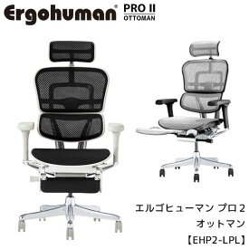 エルゴヒューマン プロ2 ハイタイプ オットマン付 ヘッドレスト ランバーサポート 4Dアームレスト ワーキングチェア テレワーク 在宅ワーク ハイバック【EHP2-LPL】