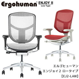 エルゴヒューマン エンジョイ2 ロータイプ テレワーク 在宅ワーク 人間工学 オフィスチェア ワークチェア Ergohuman ミドルバック 4Dアームレスト 【EJ2-LAM】