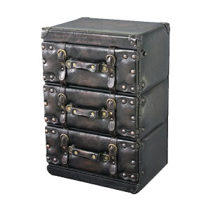 ySS!m1/2ōő100|CgobNz`FXg [ 41  g ubN jO gN^  3i Trunk gN `FXg3D IW-873