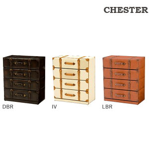 [`FXg CHESTER MCH-6014IV/DBR/LBR] TCh [ ߗ m   AeB[N l 킢 4i 4t