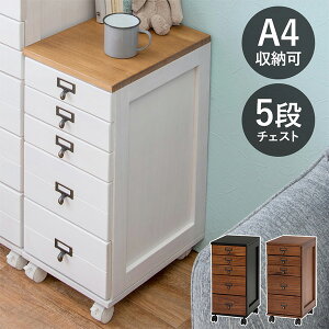 ItBXS t@C[ 5i 60cm TCh`FXg AeB[N AeB[N LX^[S y`FXg MCH-6170NW/BR/BBz