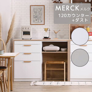 [MERCK N 120JE^[+_Xg] _CjO Lb` [ 120  Vv i` k c[g XCh o nofflys mtX