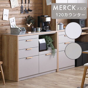 [MERCK N 120JE^[] _CjO Lb` [ 120  Vv i` k c[g XChJE^[ o nofflys mtX