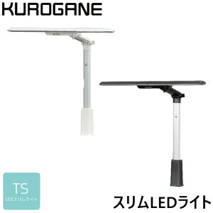 _SS!m1/2ōő100|CgobN^낪 wK wKp LEDfXNCg xCg TS-T16LEDWH/TS-T16LEDBK EF@\t wKfXN//wKƋ/Cg/׋/p\R