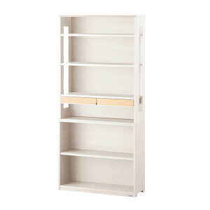 9%OFFN[| RCY~ 2025N WISE 85nCVFt KWB-253MW/653BW CY/ItBX[/I[vbN/VFt//ItBXfXN/p\RfXN/KOIZUMI