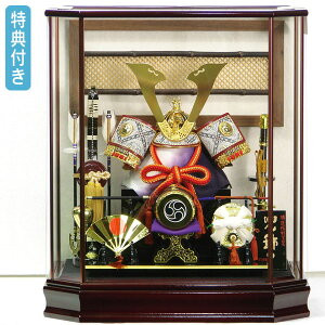 Tt yWiz ܌l` y516zyP[X z13 q IE-063 P[X ZpP[X | Oit Ƌ ؖڒ 5l` yʌz