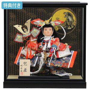 Tt yWiz܌l` P[X P[X RpNg ^   ǂ叫  [߂̐ߋ 5l` y561K21z y6z yʌz