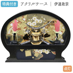 y}\!m1/2ōő100|CgobNzTt×29%OFFyʌz܌l` P[X ANP[X  ɒB@  ȉ~^P[X IS[ LED Ԍ40 Rp