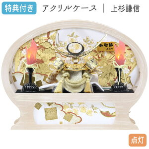 Tt×29%OFFyʌz܌l`  P[X AN ȉ~^P[X ؖڒ Ƌ 㐙M  Ԍ40 RpNg }V IS[ LED y621G23zyzq