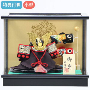 Tt×30%OFFyWiz܌l` P[X  L`  ~ĵڂt  ubN Ԍ29 RpNg }V y071G23zyʌzy5 C A ANzq