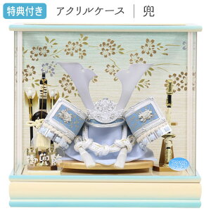 y}\!m1/2ōő100|CgobNzTt×22%OFFyWiz܌l`   P[X ANP[X L` ⊕  | 8 pXeJ[ y821G24z Ԃ