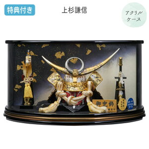 Tt yP5×2025NxVz܌l`   P[X P[XANP[X 㐙M ی^  yE/215-716z ԂƂ 5l` [߂̐ߋ