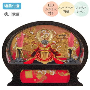 Tt yP5×2025NxVz܌l`   P[X P[X ANP[X IS[t ƍN LEDΕt ᓴ_ ی^ ȉ~^  y 225-730z ԂƂ