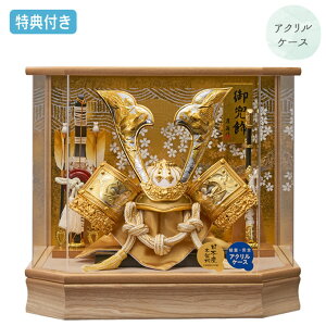 Tt yP5×2025NxVz܌l`   P[X P[X ANP[X ZpP[X Ƌ ؖڒ   |yZpR 255-705z Ԃ  5l` [߂