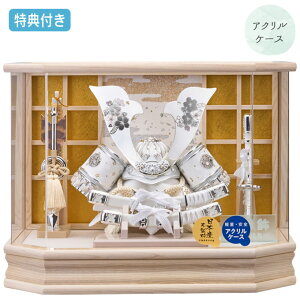 Tt yP5×2025NxVz܌l`   P[X P[X ANP[X ZpP[X Ƌ ؖڒ  ⊕ | 召ŷ 255-721z Ԃ  5l` [