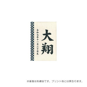 2025Nx { i ꗧD̂ ܌l` (ʗt s()) O vg  ܌l`/[߂̐ߋ