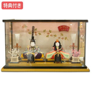 Tt yWiz l` ЂȐl` ؖڍ P[X P[X e 733 001-10 ؖڍݐl` ЂȂ/ЂȂ܂/킢//ߋ/j/̎q/̐ߋ/Ђȍ