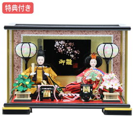 ◆特典付き 【展示現品】 雛人形 ひな人形 衣裳着 コンパクト ケース飾り マンション 親王飾り 衣裳着人形 雛 おしゃれ インテリア かわいい ひな祭り お雛様 映え 黒金 ゴールド ブラック 黄櫨染 【S2434】 【751S20】 【数量限定】