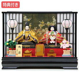 ◆特典付き 【展示現品】 雛人形 ひな人形 衣裳着人形 ケース飾り 親王飾り 送料無料 桃の節句 ひな祭り お雛様/映え ブラック おしゃれなコンパクトケース飾り 【851S22】【34234NK 小三五2人 優美 黒】【数量限定】