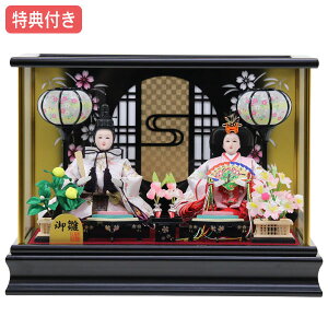 Tt×27%OFFyWizl` ЂȐl` ߏ֒l` P[X e  ̐ߋ ЂȍՂ l/f y741S23z ^    ubN ȃRpNgP