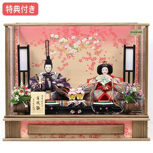 Tt yʌzl` ЂȐl` ߏ֒l` P[X e  ̐ߋ ЂȍՂ l/f y322S23z \P ȃRpNgP[X