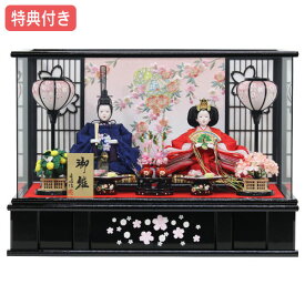 【特典付き×29%OFF】 【数量限定】雛人形 ひな人形 衣裳着人形 ケース飾り 親王飾り 送料無料 桃の節句 ひな祭り お雛様/映え 【662S23】 黒 ブラック おしゃれなケース飾り