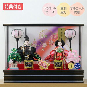 Tt×28%OFFyWizl` ЂȐl` ߏ֒l` ߏ֒ P[X ANP[X e l ᓴ_    ̐ߋ ЂȍՂ l fy111S24zyʌ