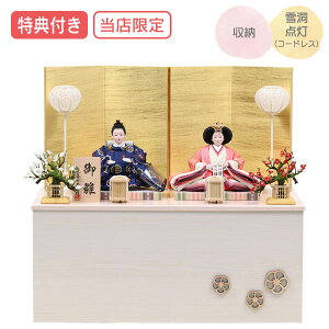 Tt×29%OFFyWizyXIWizl` ЂȐl` ߏ֒l` ߏ֒ [ e l ᓴ_ Ƌ   ̐ߋ ЂȍՂ l fy600S24