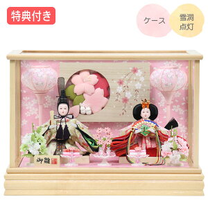 Tt×24%OFFyʌzyP10×2025NxVz l` ЂȐl` ߏ֒l` ߏ֒ P[X e l ᓴ_  Ƌ ؖڒ  ̐ߋ ЂȍՂ f y121S