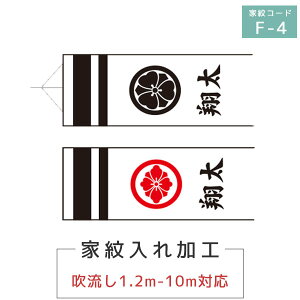 yBF!m1/2ōő100|CgobNz2024Nx V { pƖE F-4 Ɩ  O  1.2M`10MΉ ԌΉ ̂ڂ îڂ [߂̐ߋ