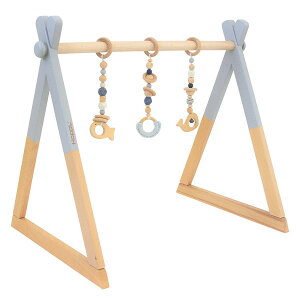 vCW Ԃp xr[p ߋ m   i` Vv  k ݃J[ V HOPPL zbv [Baby Toy Line xr[WZbg]