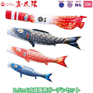 yBF!m1/2ōő100|CgobNz2025Nx { 뉀p ̂ڂ i ̂ڂZbg K[fZbg ̋P ^Ez 2.5m6_Zbg 003-778 Yō݃^Cv Ył 