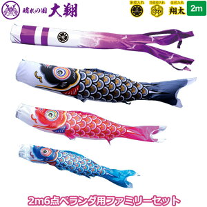 yBF!m1/2ōő100|CgobNz2025Nx { i ̂ڂZbg x_p t@~[Zbg ̍  2mZbg 003-919 iq^Cvt ԁE|[t z[