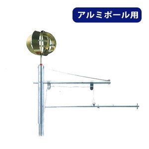 y}\!m1/2ōő100|CgobNz2025Nx V { ߋ ҂̂ڂ ̂ڂ fg [fguA~3^] |[ʔ [߂̐ߋ