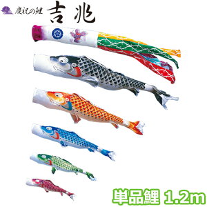 y}\!m1/2ōő100|CgobNz2025Nx { ̂ڂ i Pi cǰ g Pi1.2m 000-570 /Ԍ//Ό//sN H