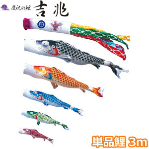 2025Nx { ̂ڂ i Pi cǰ g Pi3m 000-561 /Ԍ//Ό/ H