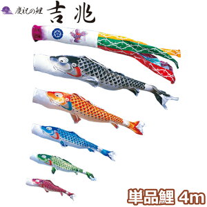 yBF!m1/2ōő100|CgobNz2025Nx { ̂ڂ i Pi cǰ g Pi4m 000-556 /Ԍ//Ό/ H