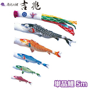 2025Nx { ̂ڂ i Pi cǰ g Pi5m 000-555 /Ԍ//Ό/ H